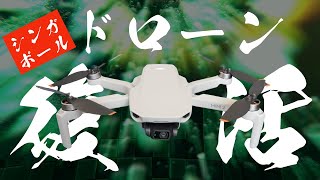 水没から復活！DJI MINI 2でシンガポールの空を散歩！レビュー