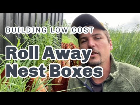image-How high off the ground should nesting boxes be?