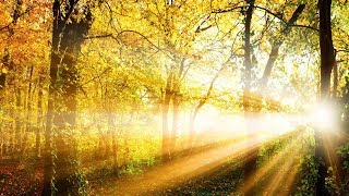 Peaceful music, Relaxing music Uplifting Instrumental music "Quiet Moments" By Tim Janis