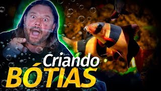 Miniatura do vídeo