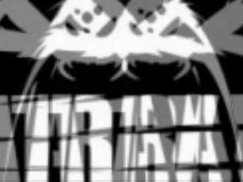 Atrax Team "The Law"