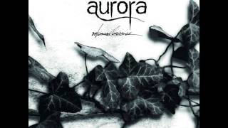 Träumen von Aurora - Der Sommerregen auf Asphalt