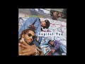 Capital Tax The Masha LP Version