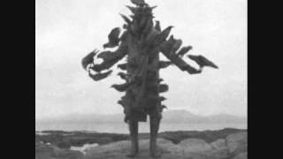 Whipping Boy - Shearwater