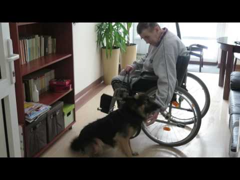 Pies Reks odwiedził w hospicjum swojego właściciela - Pana Alfonsa