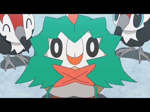 Rowlet