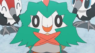 Rowlet in Training  Pokémon the Series: Sun &
