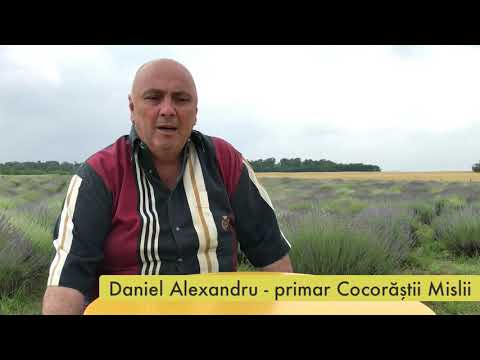 Daniel Alexandru, primar Cocorastii Mislii, despre obiectivele turistice din comuna