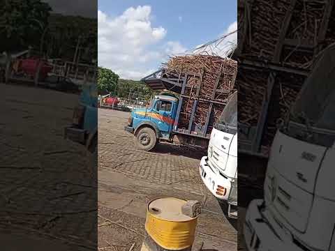 Usina pomati Joaquim Nabuco Pernambuco 