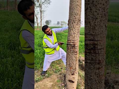Tree cut hony Sy Bacha Lia 3 🌲🙏 b#allah #allahuakbar #viralshorts