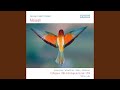 Messiah HWV 56 Pt 2 No 32 He Was Cut Off Out Of The Land Of The Living Live