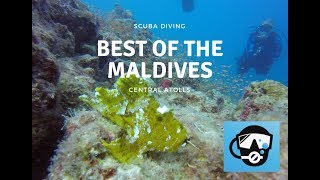 Best of the Maldives - Scuba Diving