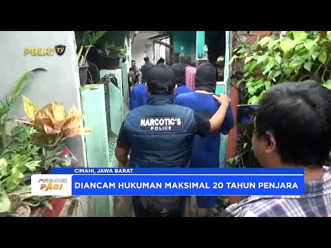 POLRES CIMAHI AMANKAN CHEF PERACIK TEMBAKAU GORILA