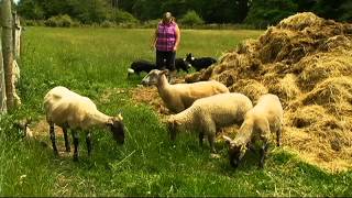 preview picture of video 'Delicious Lamb on Saturna Island - Shaw TV Victoria'