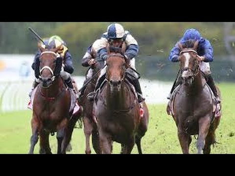 2017 ATC  Ranvet  Stakes