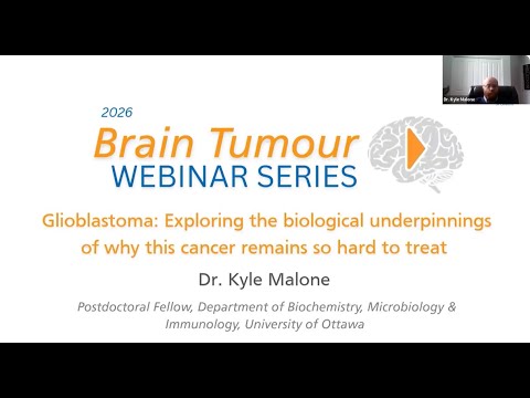 Glioblastoma: Exploring the biological underpinnings of why ...