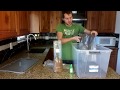 Easiest & Most Foolproof Way To Grow Mushrooms Easiest & Most Foolproof Way To Grow Mushrooms