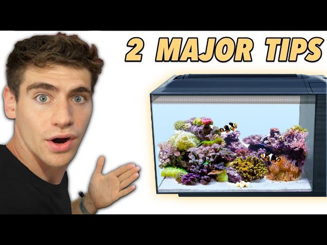 How to Set Up Your Reef Tank for SUCCESS! +(winners announced)