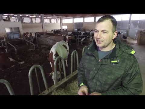 Naša priča ep. 179 25.01.2019. - Farma krava i proizvodnja mleka, Zdravčići, Požega