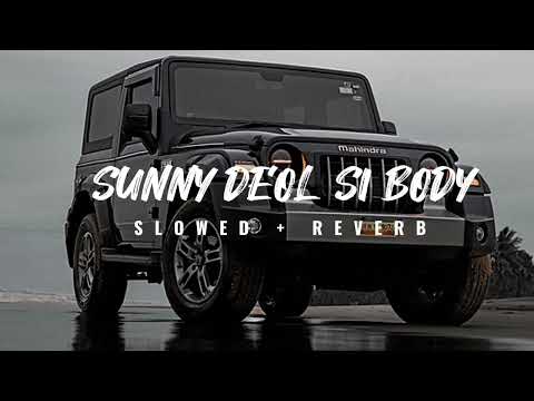 Sunny Deol Si Body Re (Slowed + Reverb) Raju Punjabi | Choudar Jatt ki