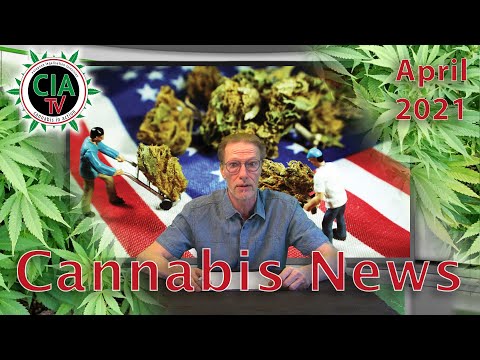 CannaNews April 2021 - Deutschland, Japan, Dubai, Schweiz, USA, Österreich