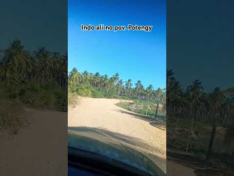 Piaçabuçu AL (parte1)