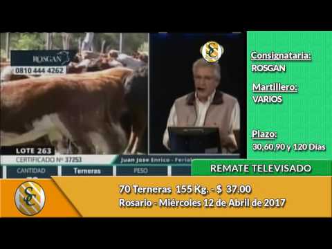 12-04-17 - Venta de Invernada - Remate Televisado de ROSGAN - Rosario