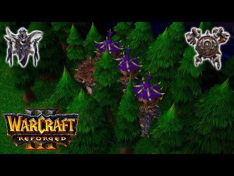 WC3 Paladyn (NE) vs Sw1tch (OR)