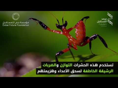 تعرف إلى أحد مصادر الإلهام لأسلوب من الكونغ فو