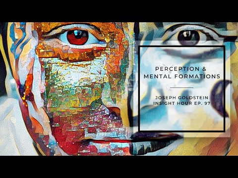Joseph Goldstein – Insight Hour – Ep. 97 – Perception & Mental Formations
