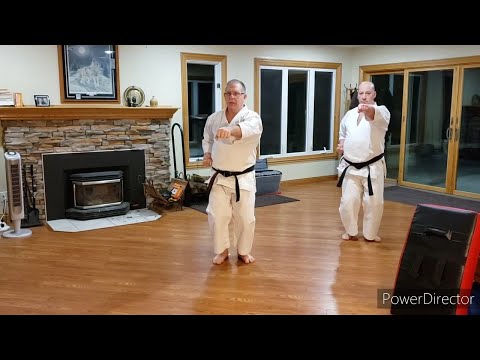 Home Shotokan Karate Training - January 25th 2021