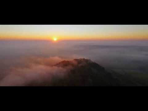 HUNGRY BEATS - VLTAVID (OFFICIAL VIDEO)