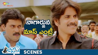 King Nagarjuna Mass Intro Scene🔥 | Boss I Love You Movie Best Scenes | Nayanthara | Poonam Bajwa