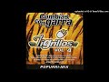 Los Tigrillos - Mira Oye (Audio)