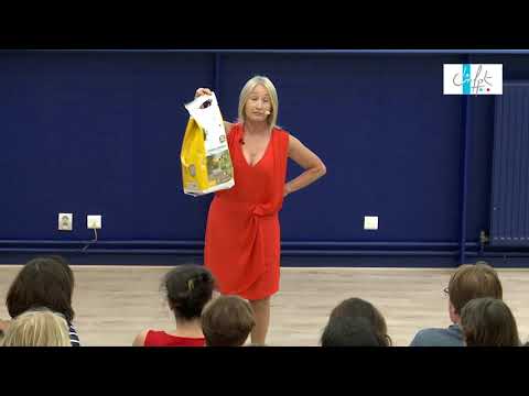 L'affordance, un concept utilisé dans la pédagogie  "Funny Learning