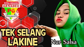 Download lagu TEK SELANG LAKINE VOC: NUR SALSA SINGA DANGDUT PUTRA GENADES  DS. KARANGTUMARITIS KEC.HAURGELIS mp3