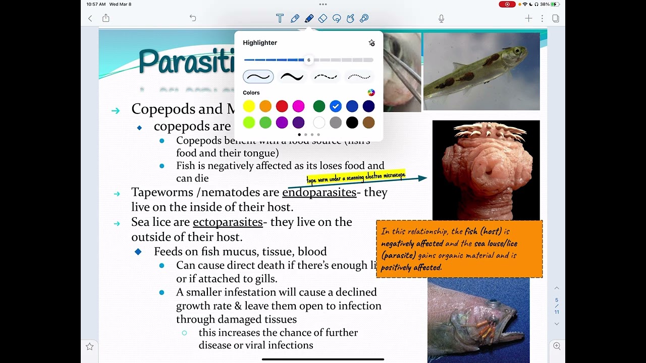 AICE Marine Science AS 3.1:  Marine Symbiosis