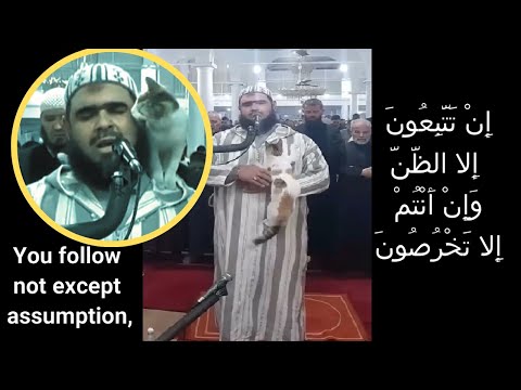 Muezza, The cat of the prophet Muhammed (PBUH) | Read Description.