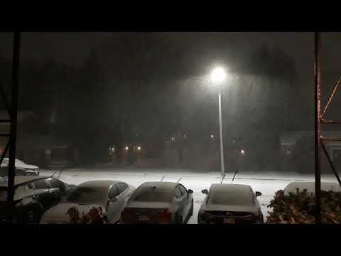 Snowstorm in Chestnut Hill, MA