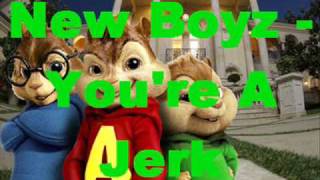 Chipmunks ft. New Boyz - You're A Jerk lyrics