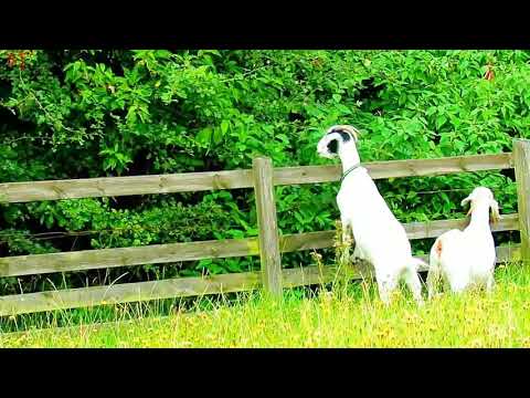 |what's your name tony|// "fuck y o" tony// Tony y ezequiel//[tiktok  m e]