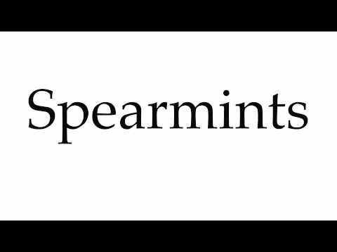How to Pronounce Spearmints