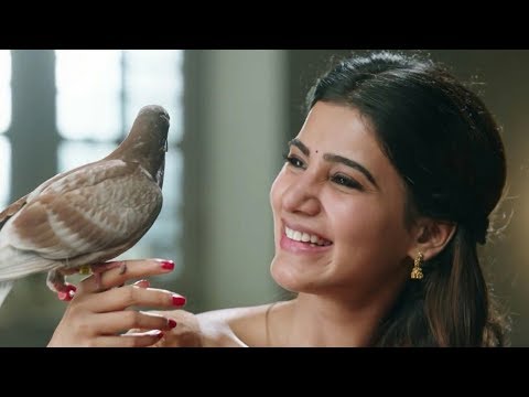 Little bird taking a bath supreet sahoo 🐦