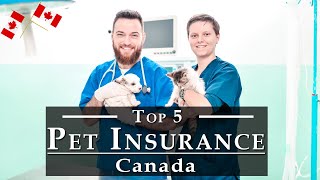 Best Pet Insurance in Canada [Reviews] | Top 5 CA Pet Insura