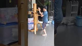 Download lagu Dummy Wing Chun part 3 mp3