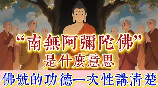 一念“南無阿彌陀佛”，到底念的是誰？佛號的真正功德一次講清楚！是喚醒內心力量的密碼！#佛學#佛教#禪修#佛法智慧#佛學知識#初學#佛教入門