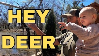 Bama Bucks Restaurant and Exotic Animal Park