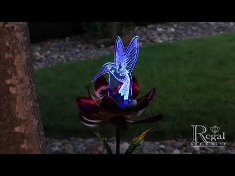 13047 Solar Illusion Hummingbird 2022.mp4