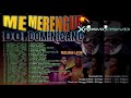 MERENGUE DOMINICANO Xplosivo - SHAGGY DJMIX - DJ PAPO - FEELINGS LATIN DISCPLAY
