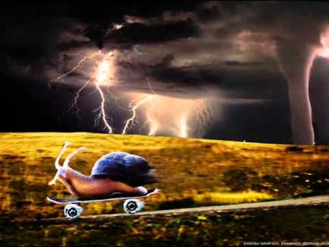 La Floripondio fiebre sudamericana style